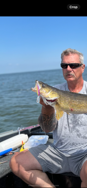 Berkly Flicker Minnow # 7 - Custom color- Purple Sunrise (Color Shift)